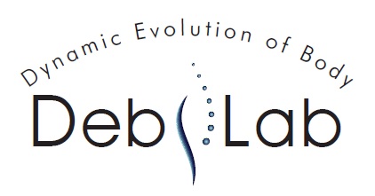 DEB-LAB